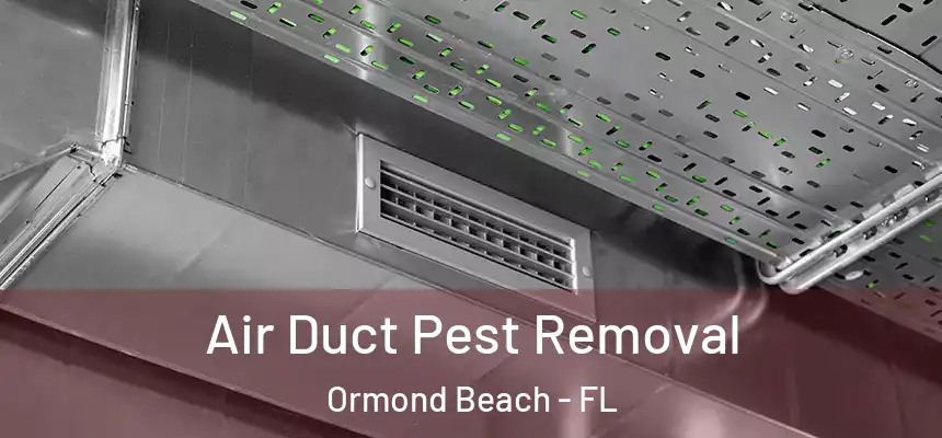  Air Duct Pest Removal Ormond Beach - FL