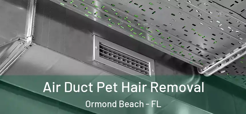  Air Duct Pet Hair Removal Ormond Beach - FL
