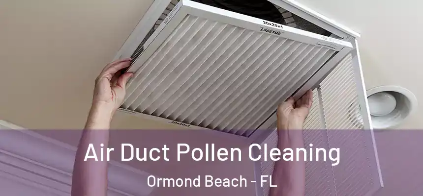  Air Duct Pollen Cleaning Ormond Beach - FL