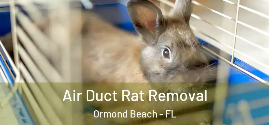 Air Duct Rat Removal Ormond Beach - FL