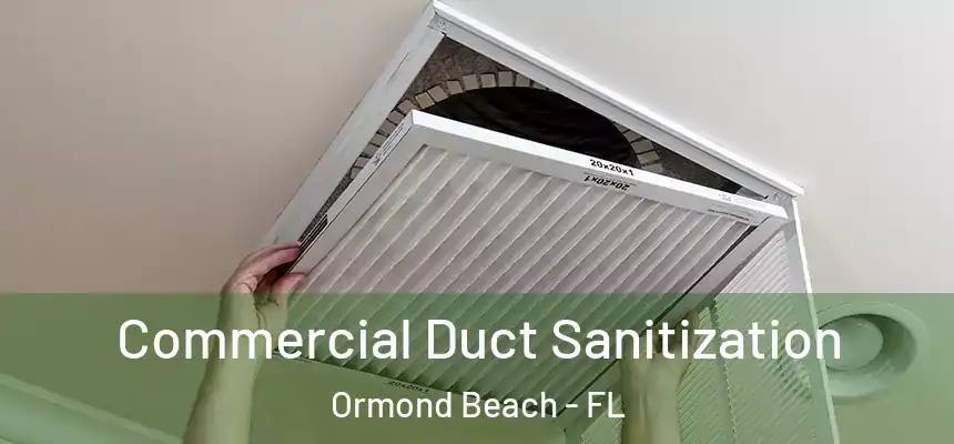  Commercial Duct Sanitization Ormond Beach - FL