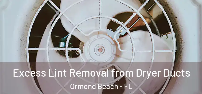  Excess Lint Removal from Dryer Ducts Ormond Beach - FL