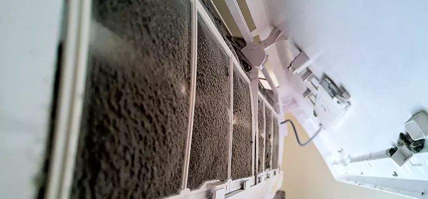 Preventive Air Duct Bacteria Removal in Ormond Beach