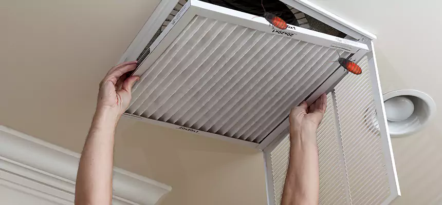 Preventive Cockroach-Proofing for Ducts in Ormond Beach