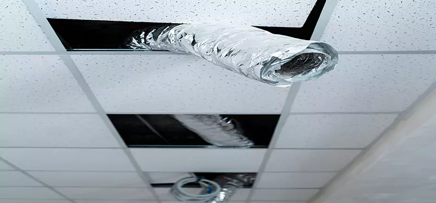 Our Air Duct Pet Hair Removal Services in Ormond Beach, FL