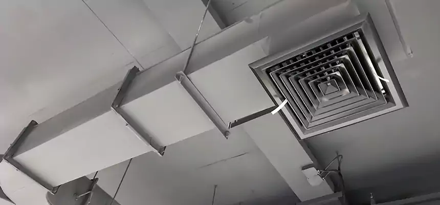 Restorative Allergy Relief Vent Cleaning – Coil, Blower & Housing Detail in Ormond Beach