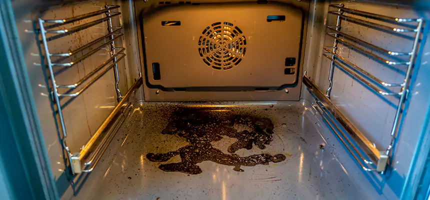 Our Dryer Vent Mold Cleaning Services in Ormond Beach, FL