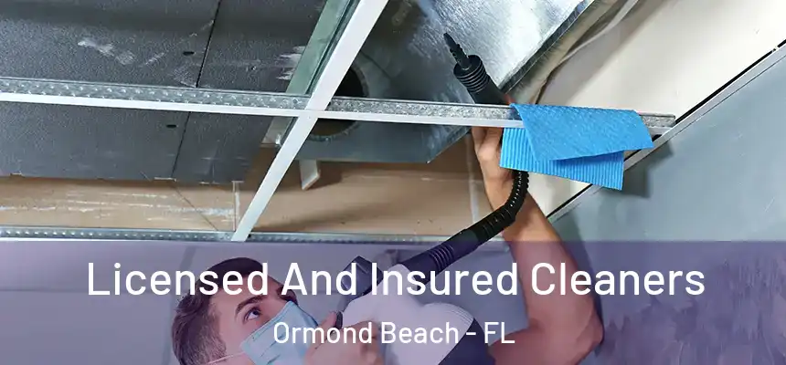  Licensed And Insured Cleaners Ormond Beach - FL