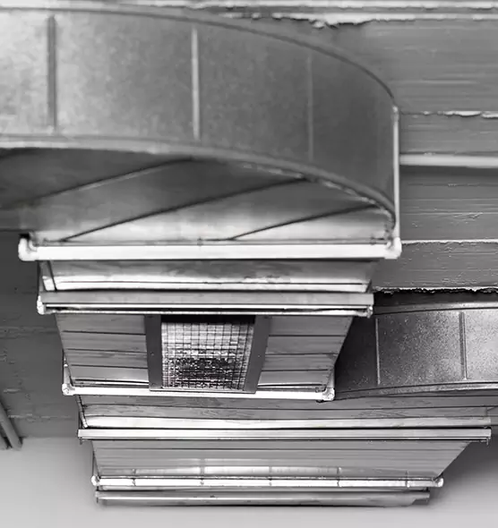 Professional Air Duct Pest Removal in Ormond Beach, FL