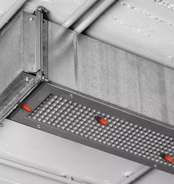 Affordable Insect Removal from Air Ducts in Ormond Beach, FL