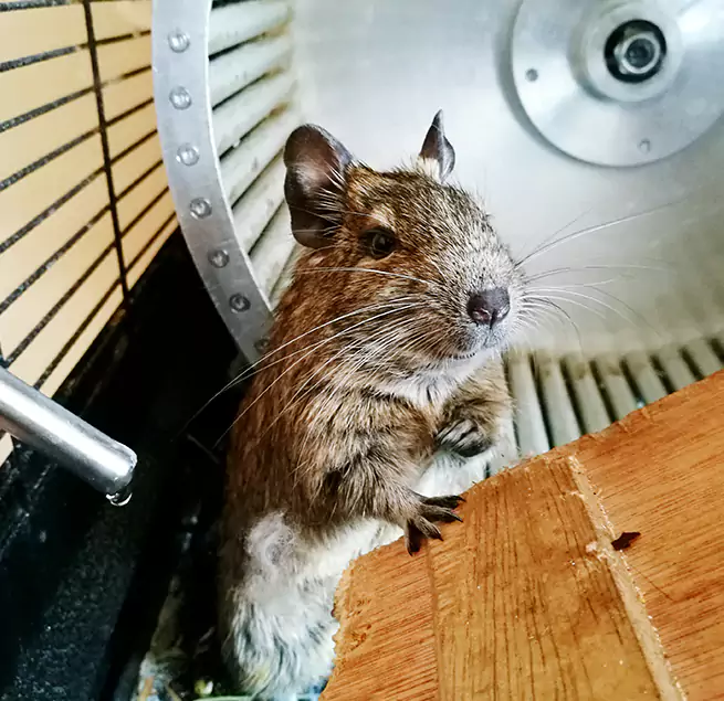 Why Homeowners & Businesses Trust Us Ormond Beach, FL