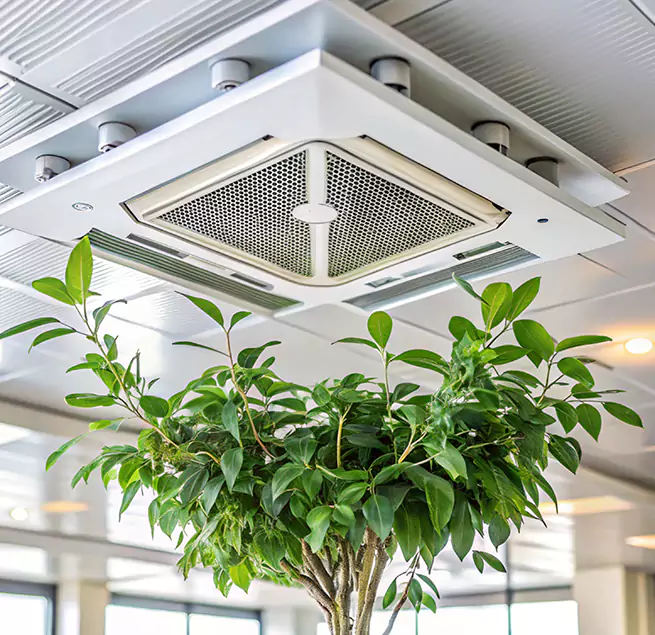 Why Homeowners & Businesses Trust Us in Ormond Beach, FL?