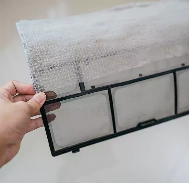 Why Homeowners & Businesses Trust Us in Ormond Beach, FL?