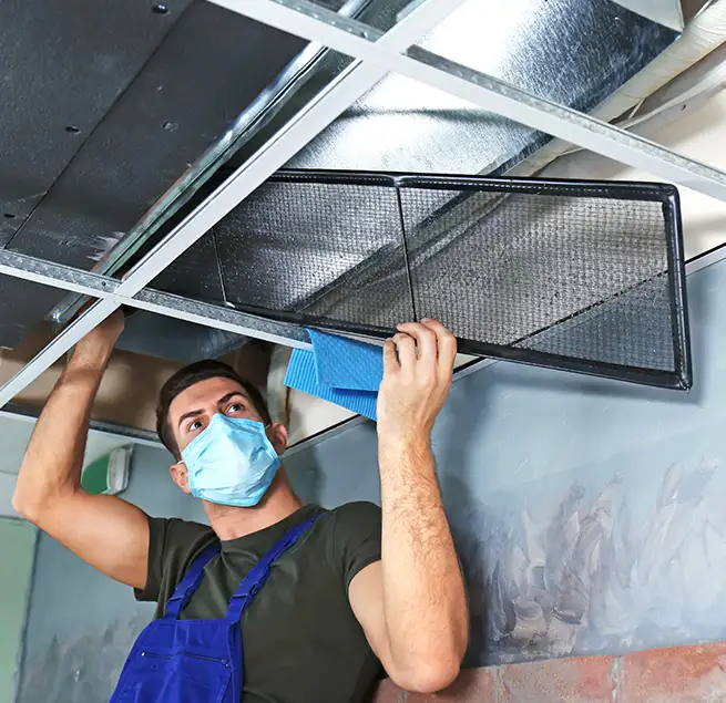 Why Homeowners & Businesses Trust Us in Ormond Beach, FL?