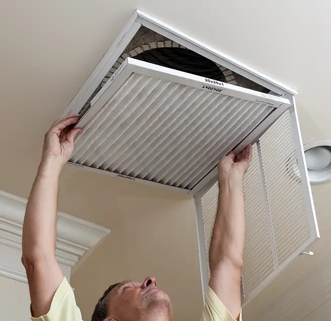 Why Homeowners & Businesses Trust Us in Ormond Beach, FL?