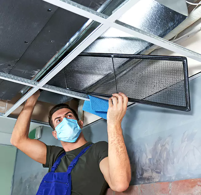  Why Homeowners Businesses Trust Us  in Ormond Beach, FL?